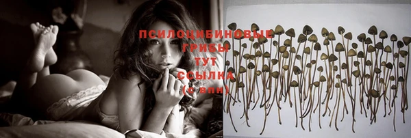 экстази Киреевск