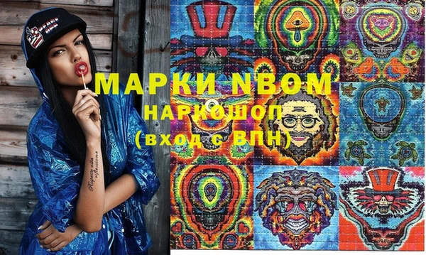стаф Кинешма
