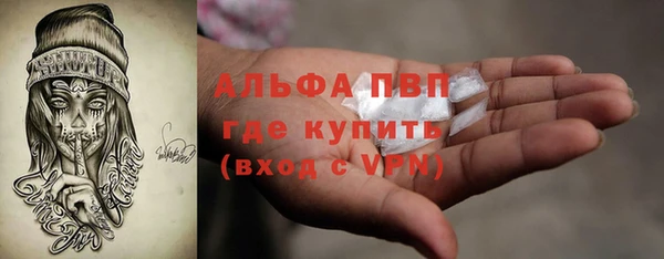 стаф Кинешма