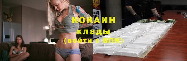 стаф Кинешма
