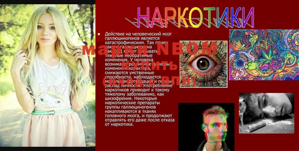 сатива Карпинск