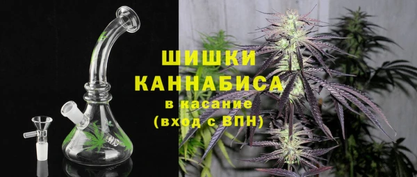 стаф Кинешма